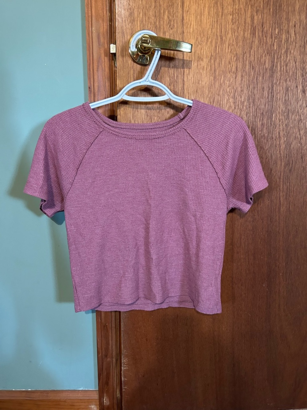 American Eagle Outfitters Ribbed Crop Tee - Dusty Rose